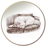 Laurelwood Dog Plate Samoyed